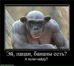 Мага Борец фотография #16 (источник - https://vk.com/id659782)