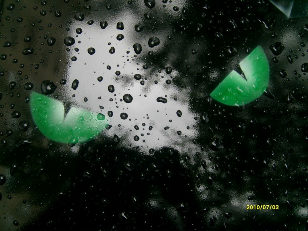 Михаил Поляков фотография #19