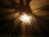 Фотография Горбуновой Илины