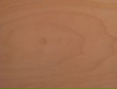 Полина Брагина фотография #43 (источник - https://vk.com/id3717887)