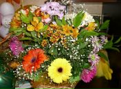 Фотография Баландиной Иришки