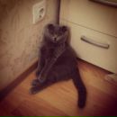 Фотография Капрашовой Анастасии