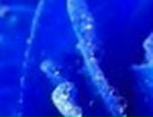 Каріна Гаврилюк фотография #27 (источник - https://vk.com/id57185359)