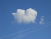 Фотография Андрющенко Елены