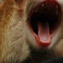 Марія Ткачук фотография #32 (источник - https://vk.com/id62966182)