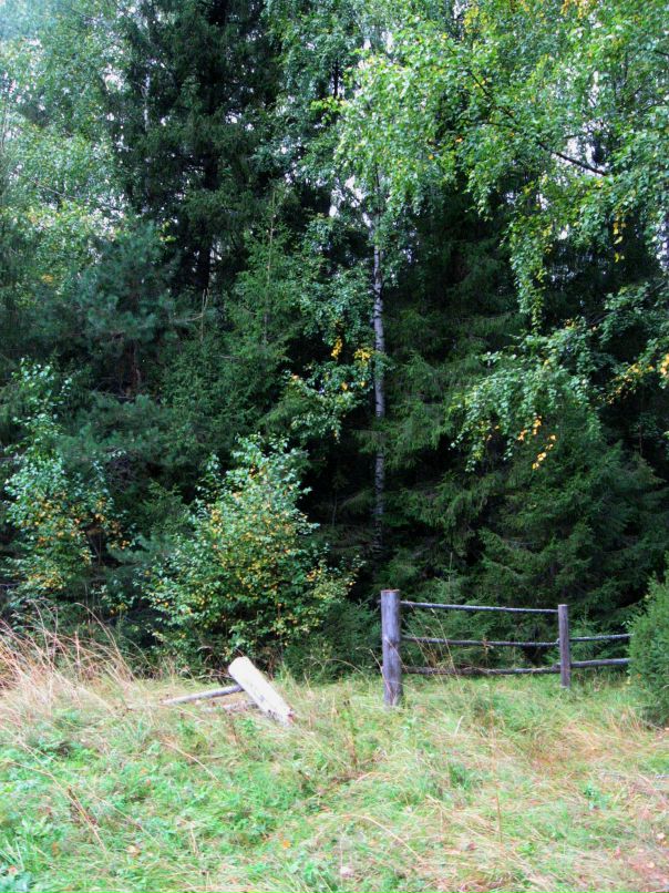 Дарья Дмитриева фотография #50