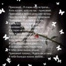 Владік Ткач фотография #6 (источник - https://vk.com/id136599042)