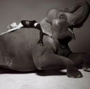 Фотография Болотовой Ольги