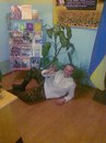 Рома-Курдюк Нікіфоренко фотография #3 (источник - https://vk.com/id164966188)
