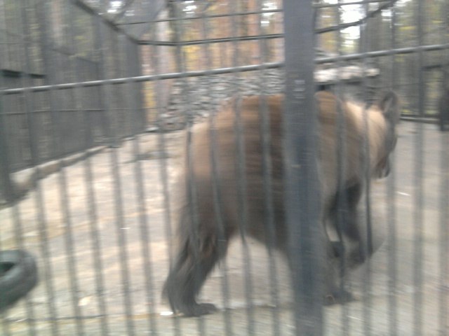 Дмитрий Щербаков фотография #37