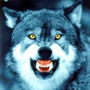 Вадім Танас фотография #4 (источник - https://vk.com/id136409647)