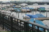 Семен Шевченко фотография #19 (источник - https://vk.com/id970186)