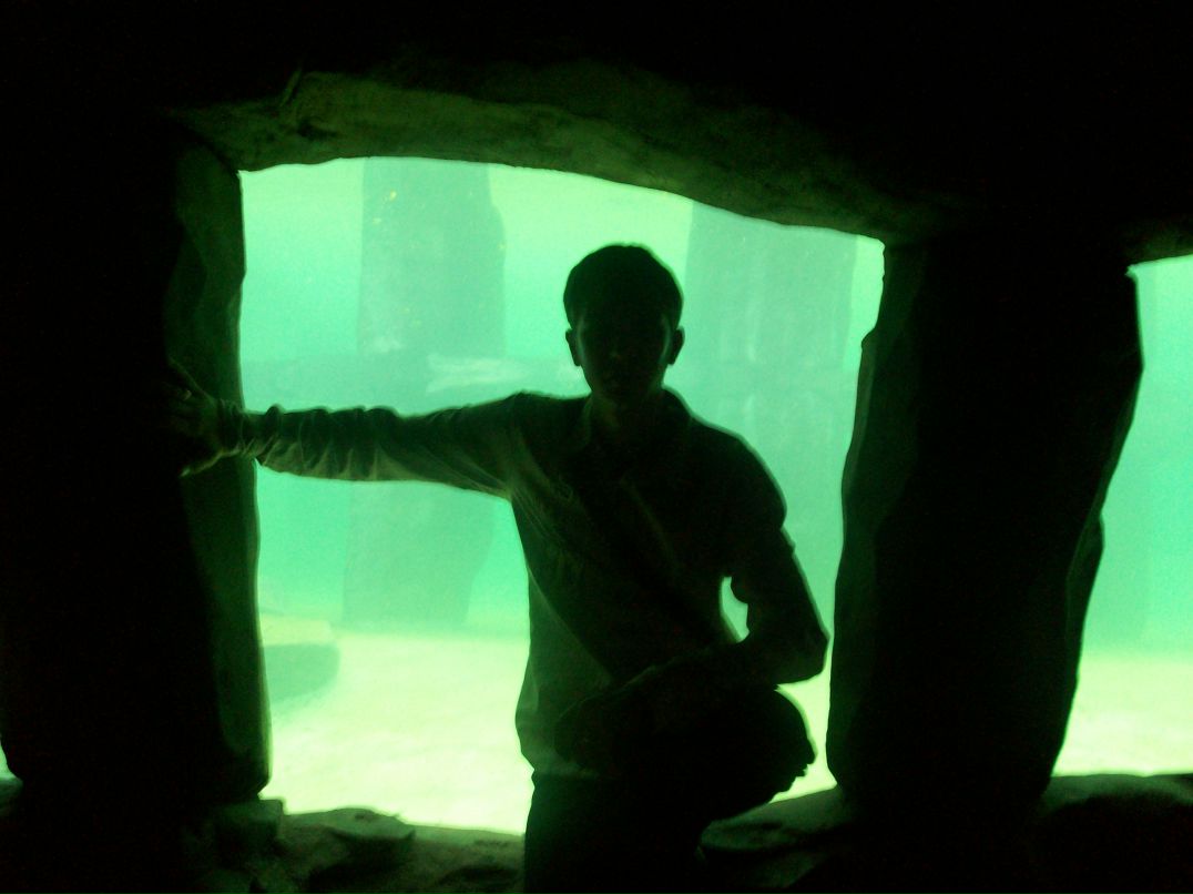 Дмитрий Бубнов фотография #36