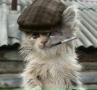 Фотография Крылова Алексея