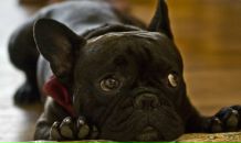 Фотография Vakulenko Lyubov