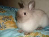 Фотография Ореховой Юлии