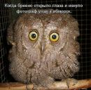 Фотография Рукавишниковой Наталии