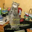 Вадім Костенко фотография #20 (источник - https://vk.com/id154881328)