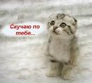 Нікуля Школьник фотография #9 (источник - https://vk.com/id184627112)