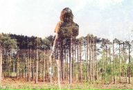 Фотография Чудес Наты