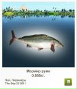 Вадім Горковенко фотография #9 (источник - https://vk.com/id132061658)