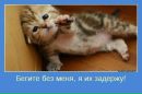 Віка Литвиненко фотография #16 (источник - https://vk.com/id137266373)