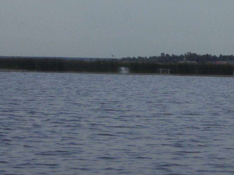 Надежда Плотникова фотография #37