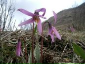 Фотография Какпаковой Айсулу