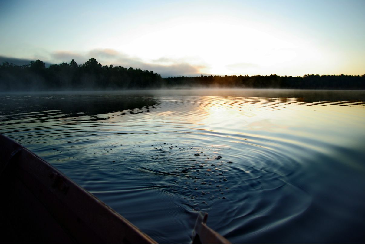 Андрей Разбаш фотография #19
