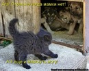 Юрій Мелимука фотография #17 (источник - https://vk.com/id31165119)