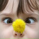 Фотография Вахрамеевой Юлии