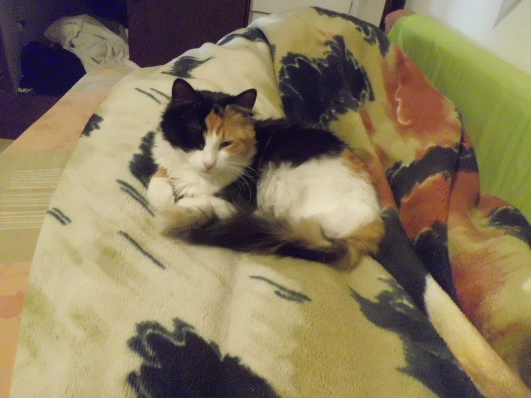 Leonid Grm фотография #44