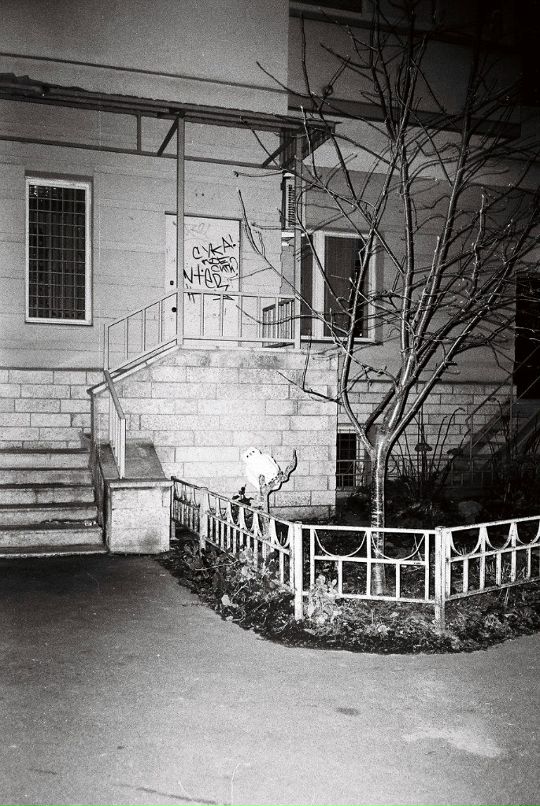 Alexey Lapin фотография #32