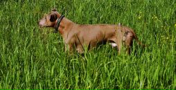 Валерия Κузнецова фотография #3 (источник - https://vk.com/id69026344)