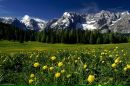 Аліна Касперська фотография #1