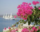 Фотография Даниловой Ирины