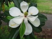 Фотография Александровой Эли