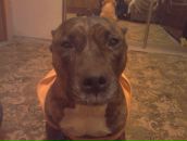 Фотография Кузнецова Юры