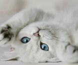 Фотография Евстратовой Анны