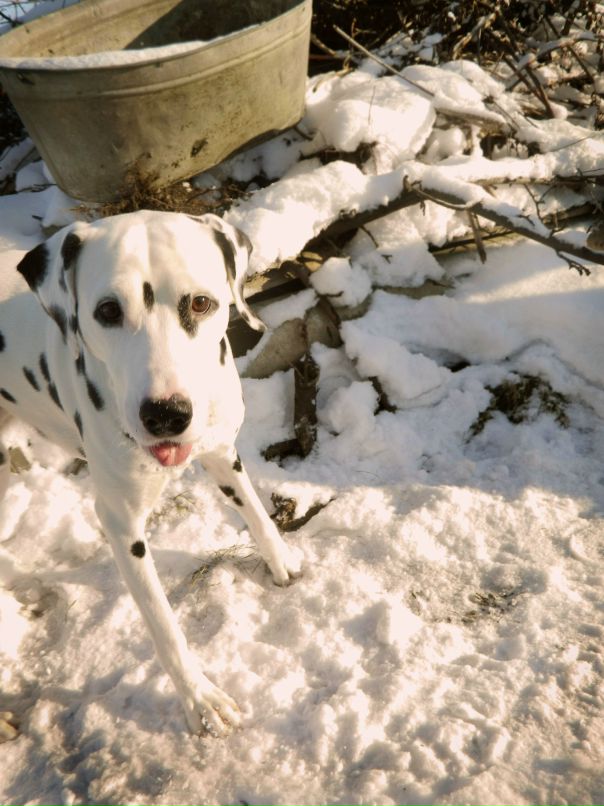 Иван Злобин фотография #15