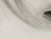 Вова Савіцький фотография #38 (источник - https://vk.com/id76861754)