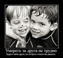 Сергій Ожицький фотография #1