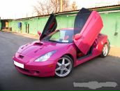 Фотография Девочкиной Анжелики