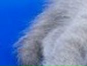 Андрій Лягоменко фотография #23 (источник - https://vk.com/id73083456)