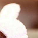 Альона Кіссс фотография #32 (источник - https://vk.com/id112118890)