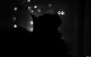 Фотография Демидовой Юлии