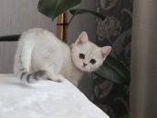 Фотография Регуш Ольги