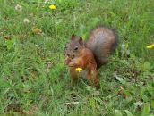 Резван Садыков фотография #19 (источник - https://vk.com/id100477757)