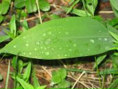 Фотография Коротеевой Ольги