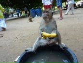 Фотография Митковского Никиты